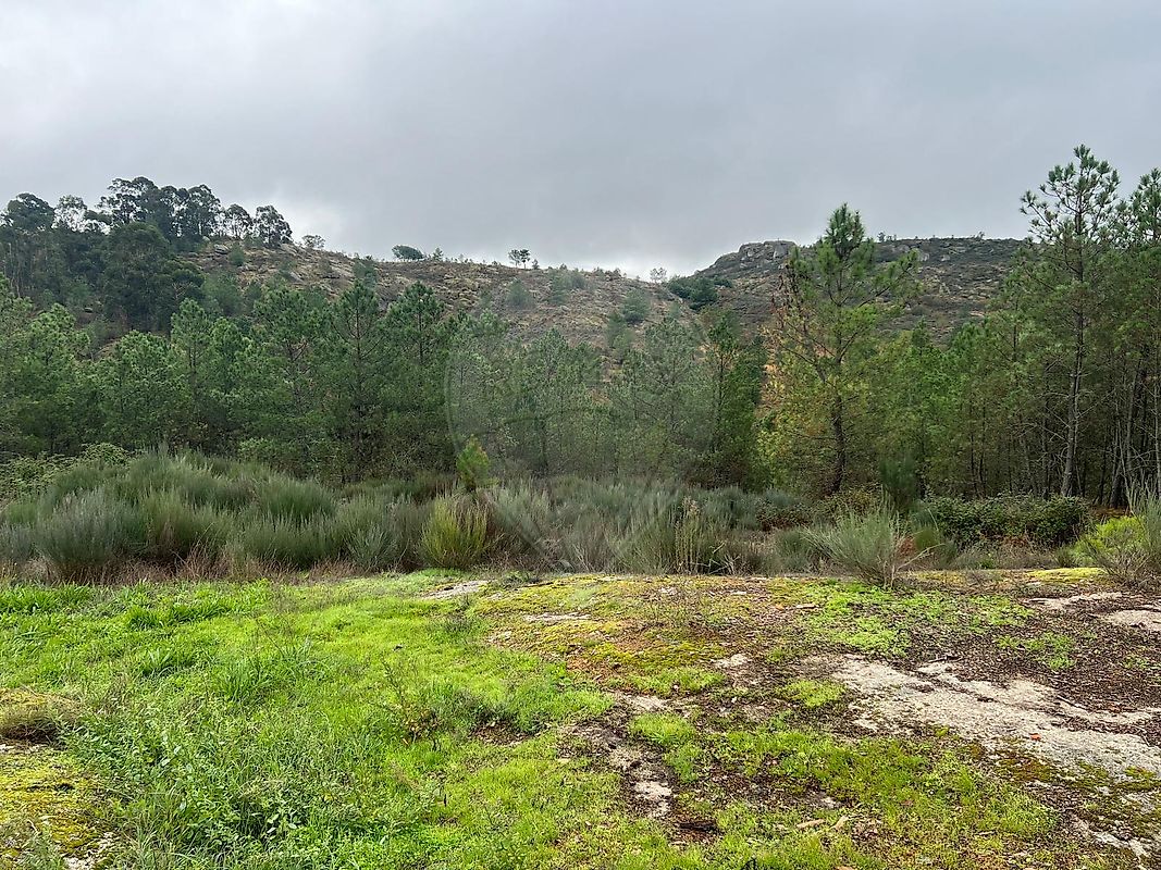 Terreno para venda