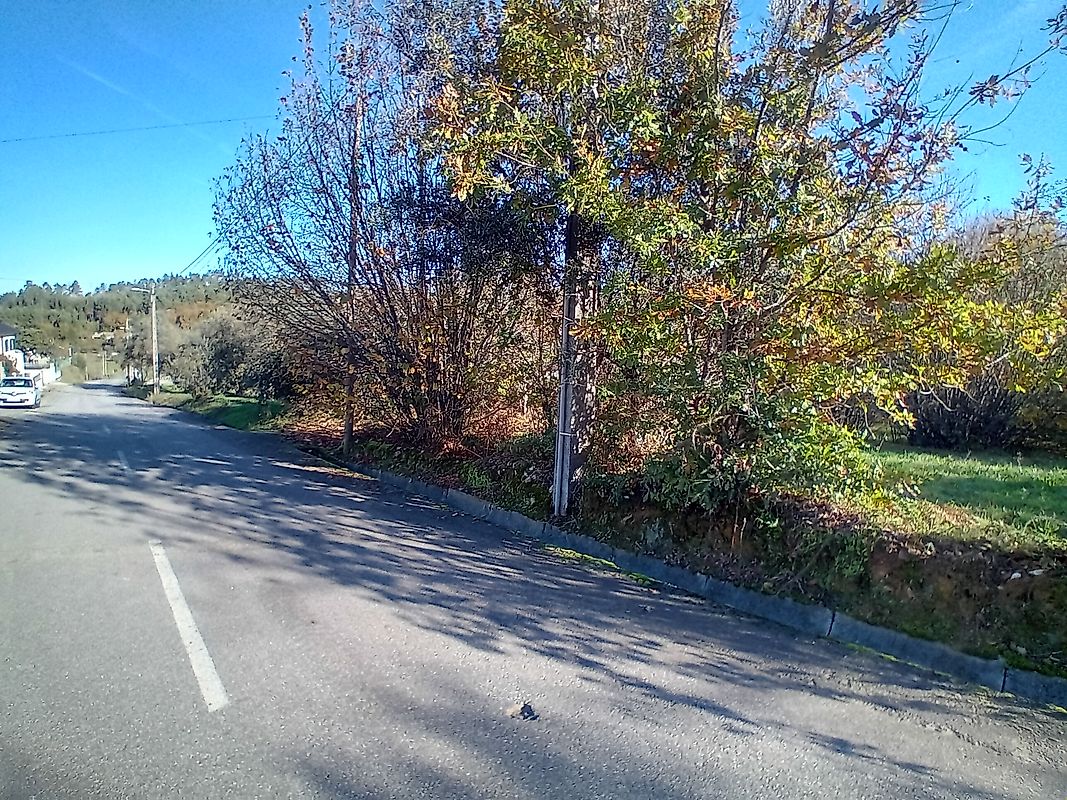 Terreno à venda em Sátão