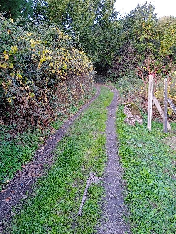 Terreno para venda