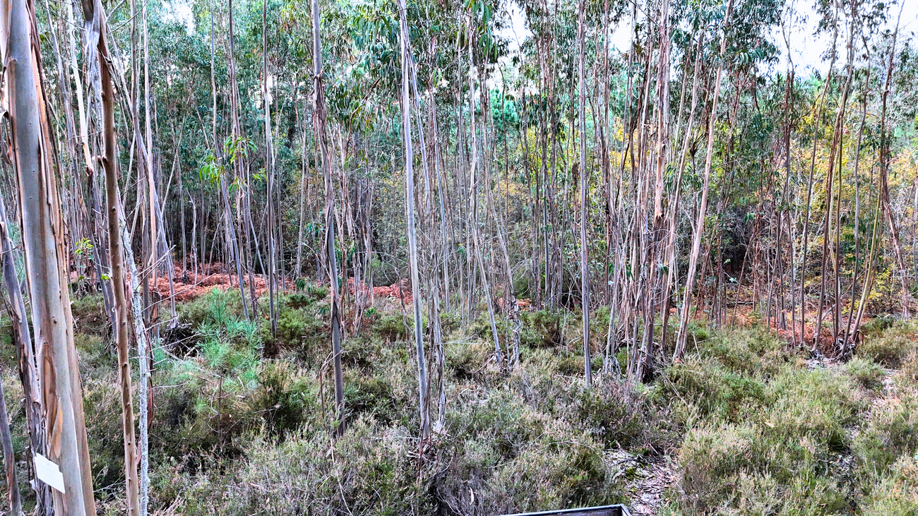 Terreno para venda