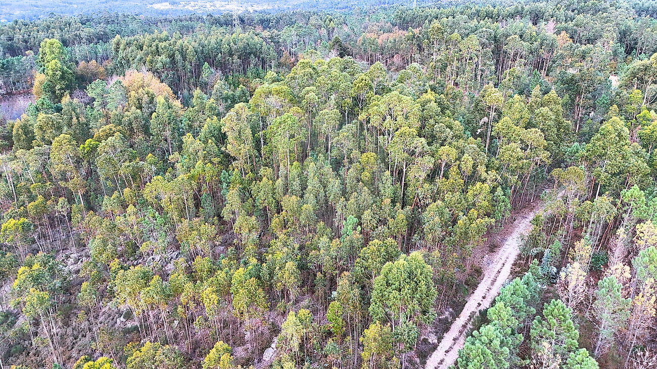 Terreno para venda