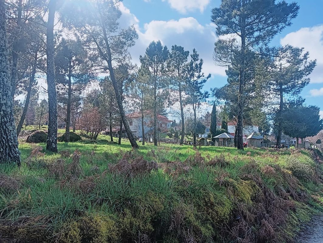 Terreno  para venda