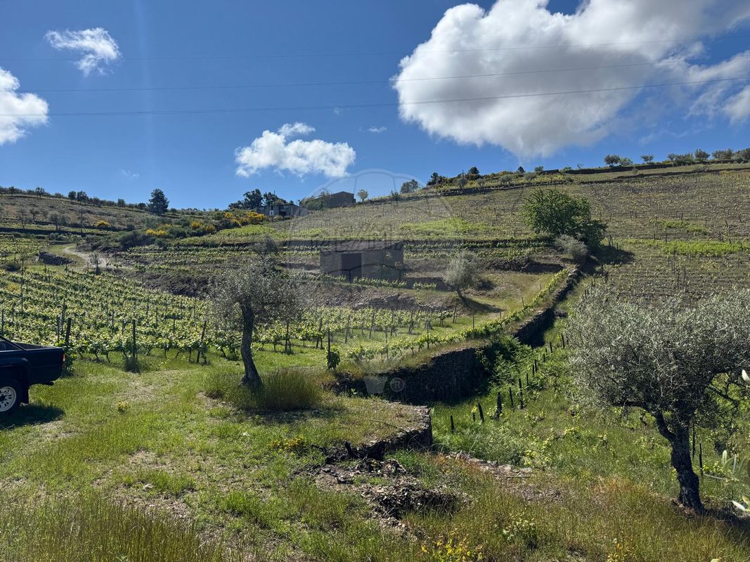 Quinta para venda