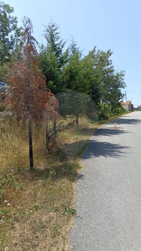 Terreno para venda