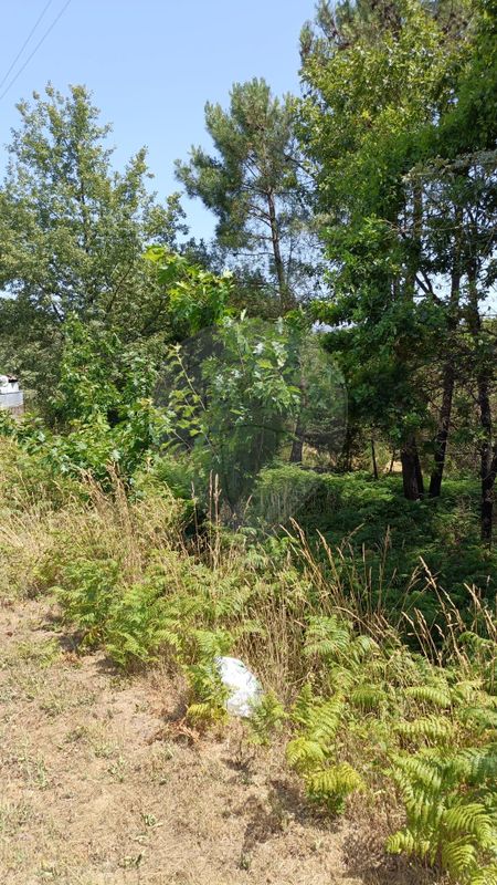 Terreno para venda