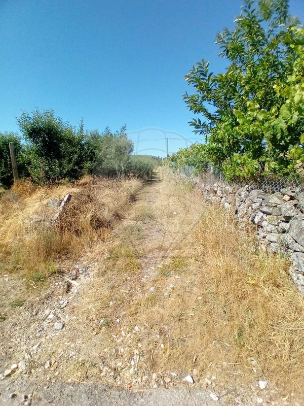 Terreno para venda