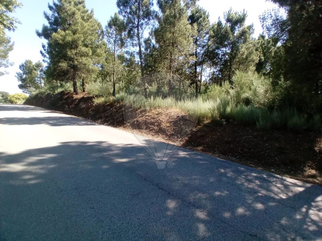 Terreno para venda