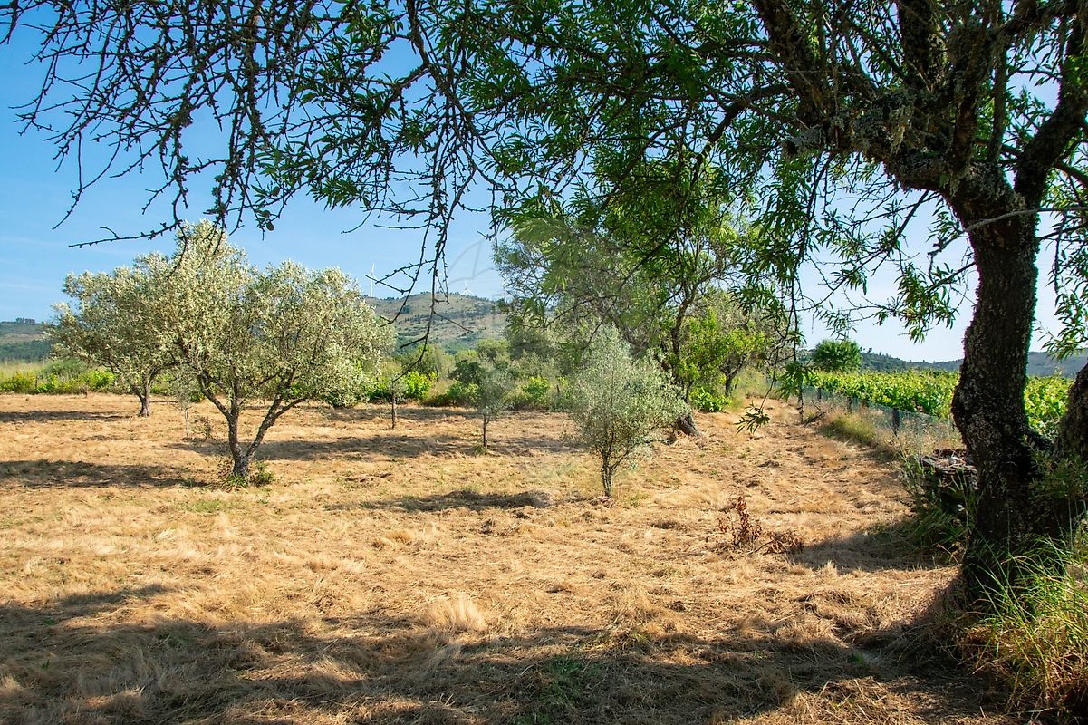 Terreno para venda