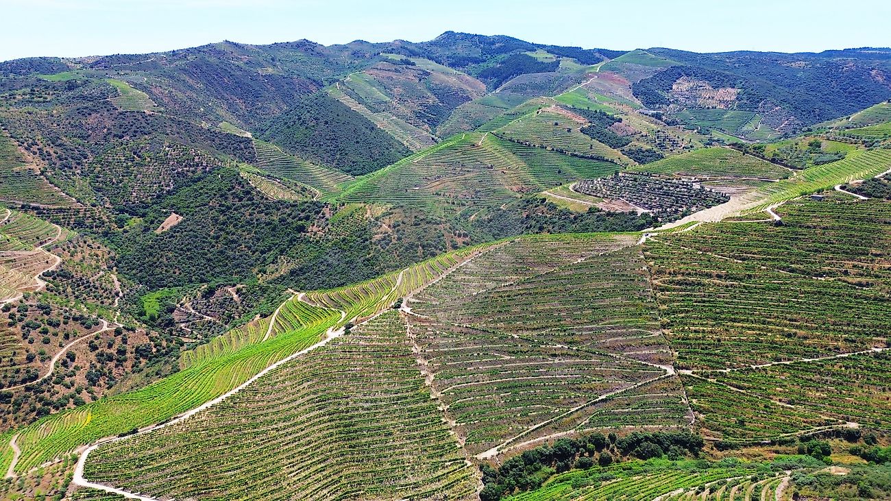 Terreno para venda