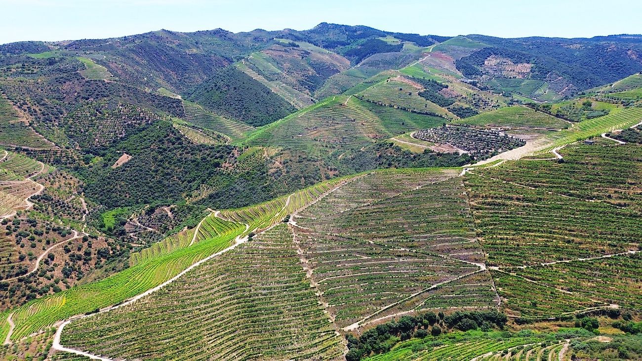 Terreno  para venda