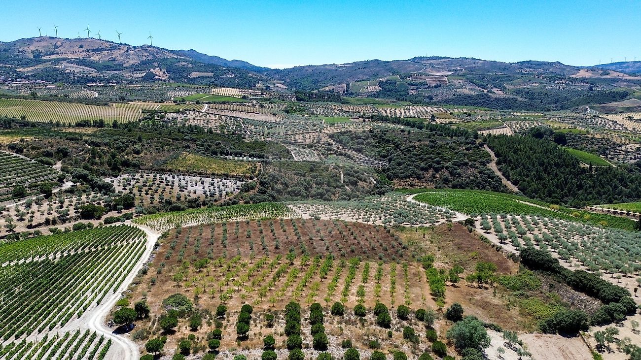 Terreno  para venda