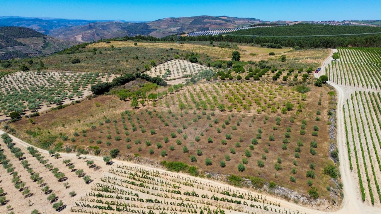 Terreno para venda