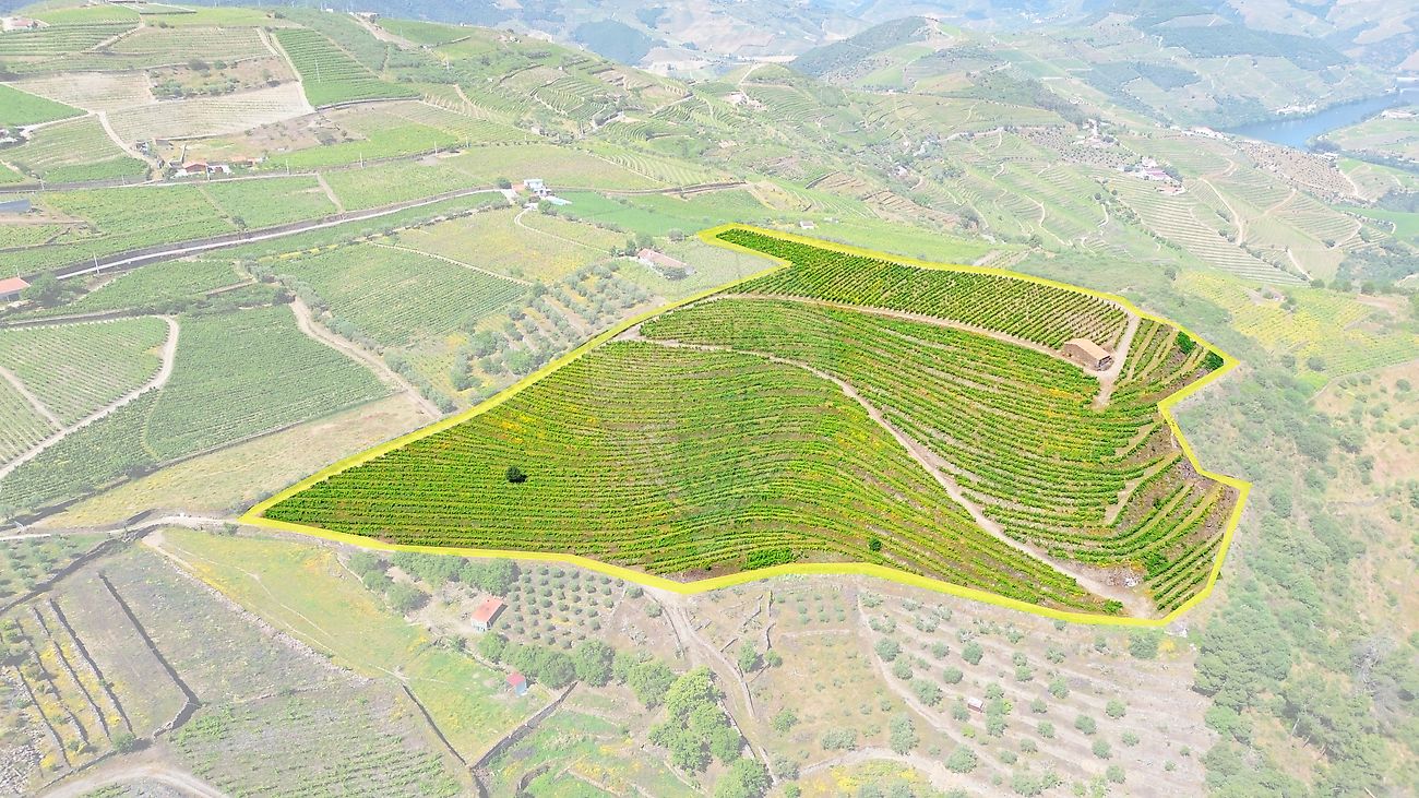 Terreno  para venda