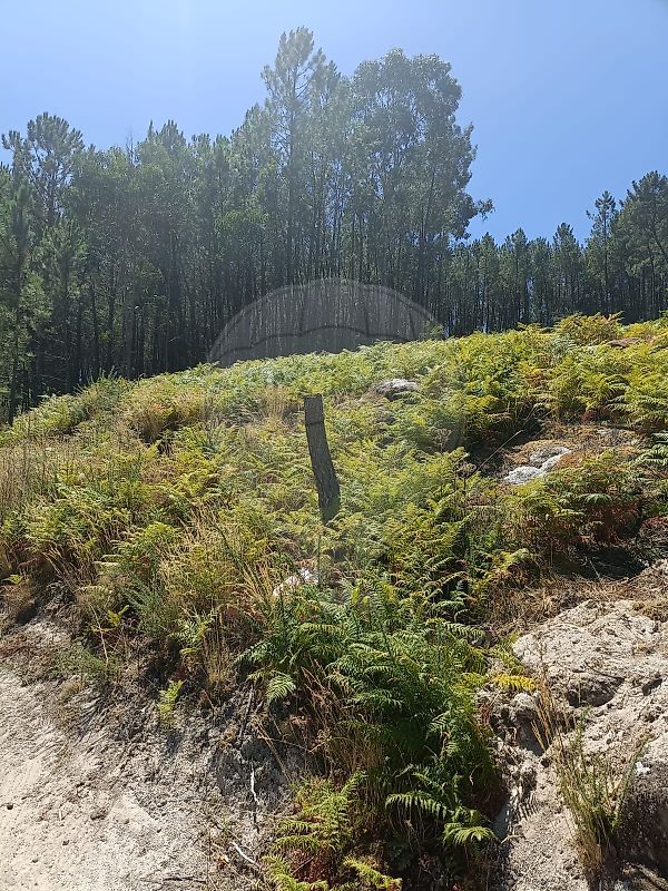 Terreno  para venda
