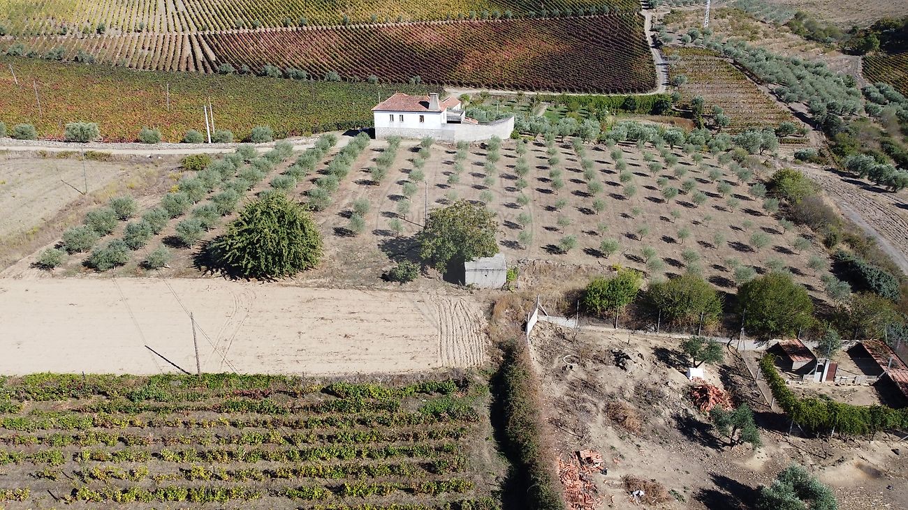 Terreno para venda