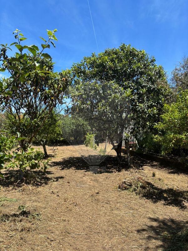 Terreno  para venda