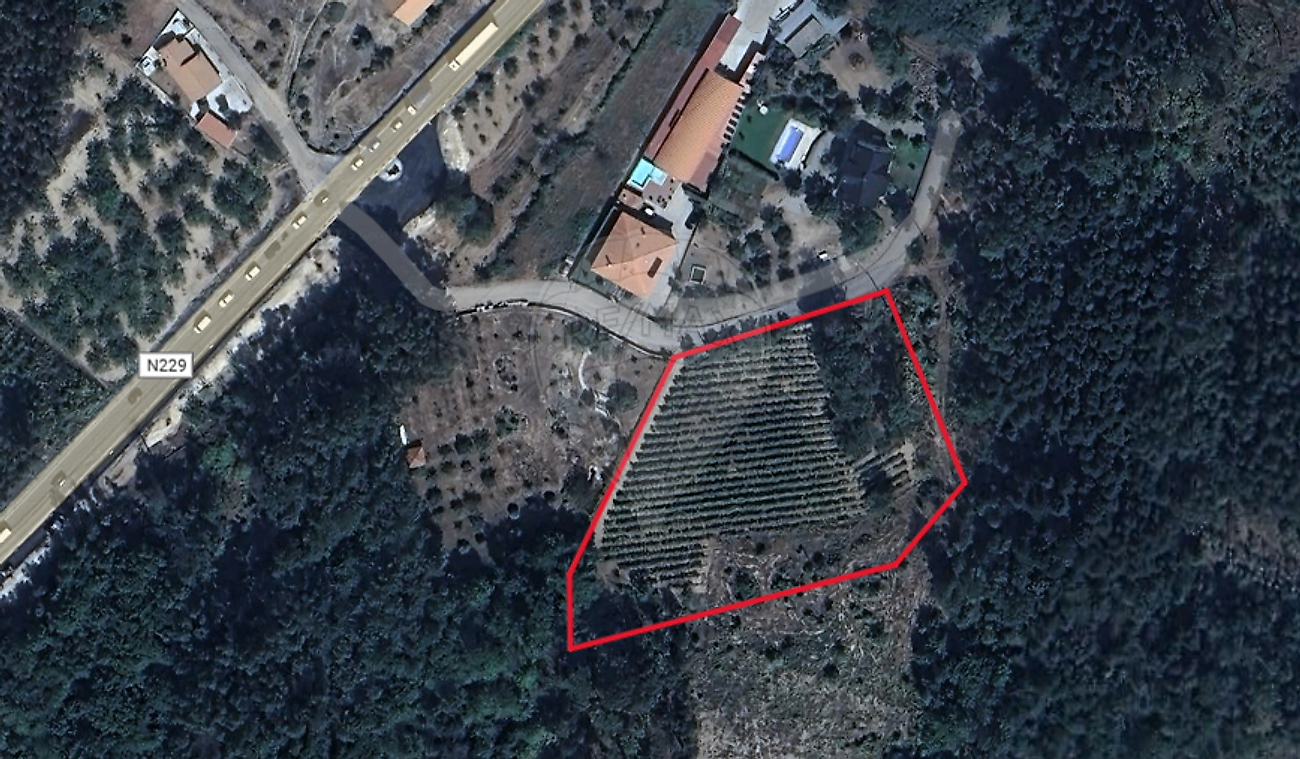 Terreno  para venda