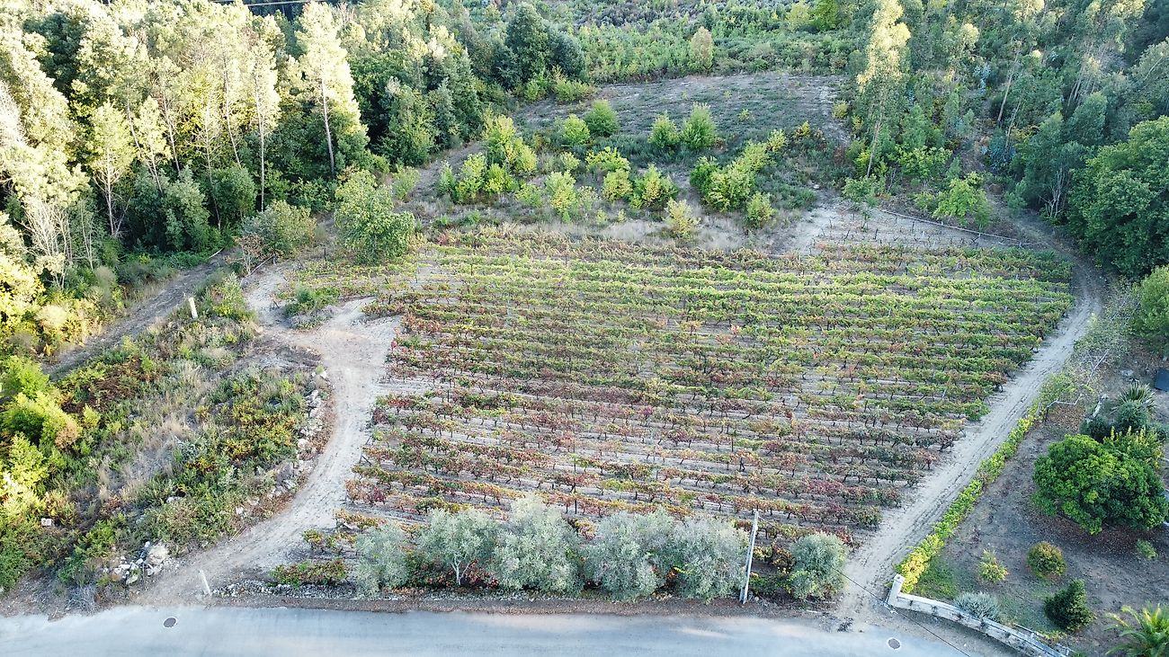 Terreno à venda em Viseu