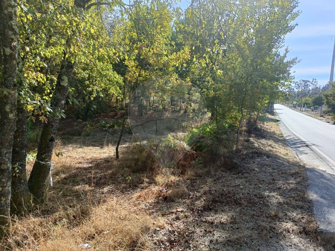 Terreno  para venda