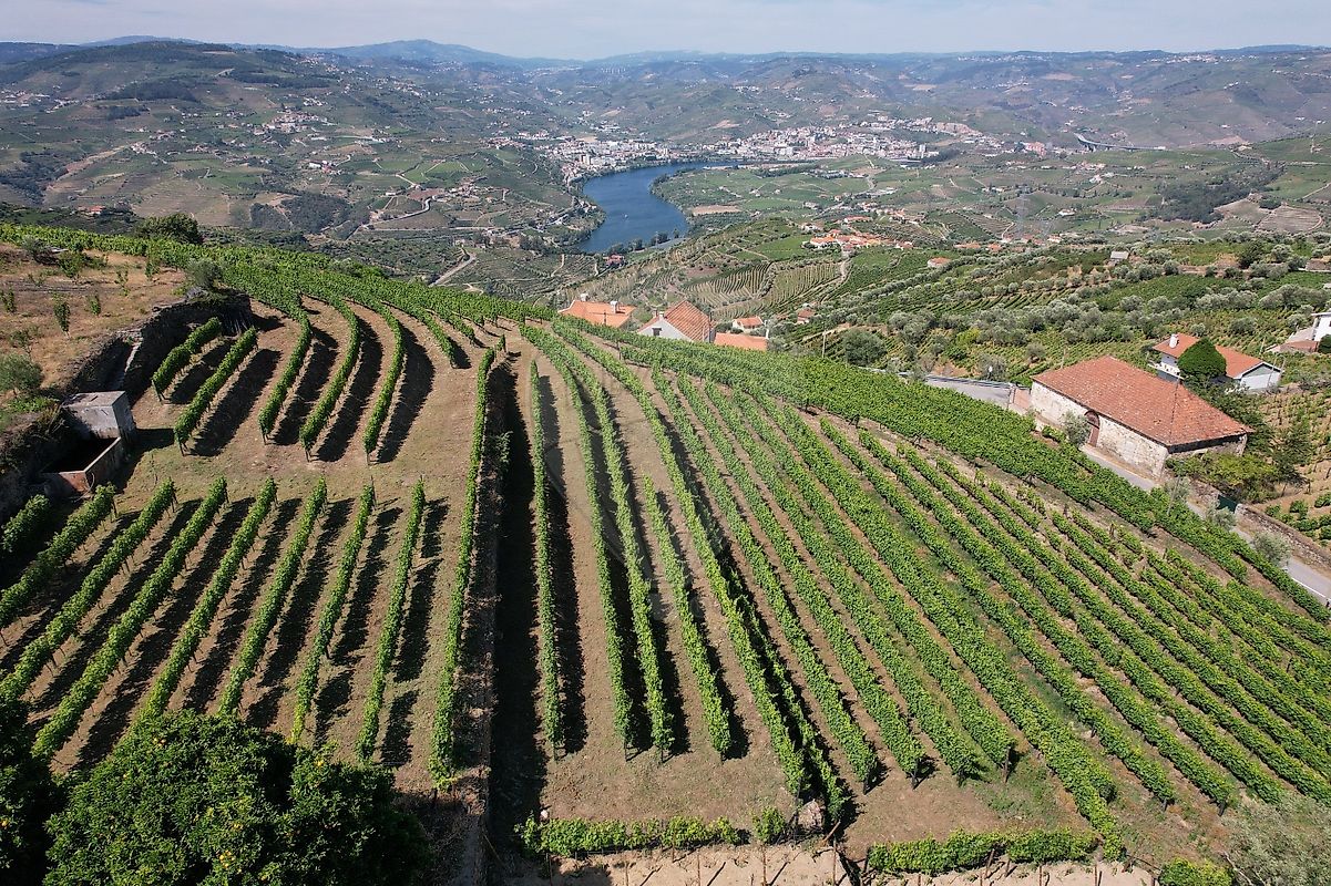Terreno para venda