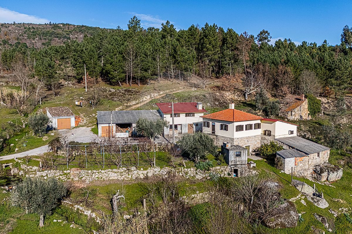 Quinta - Fornos de Algodres, Fornos de Algodres, Guarda