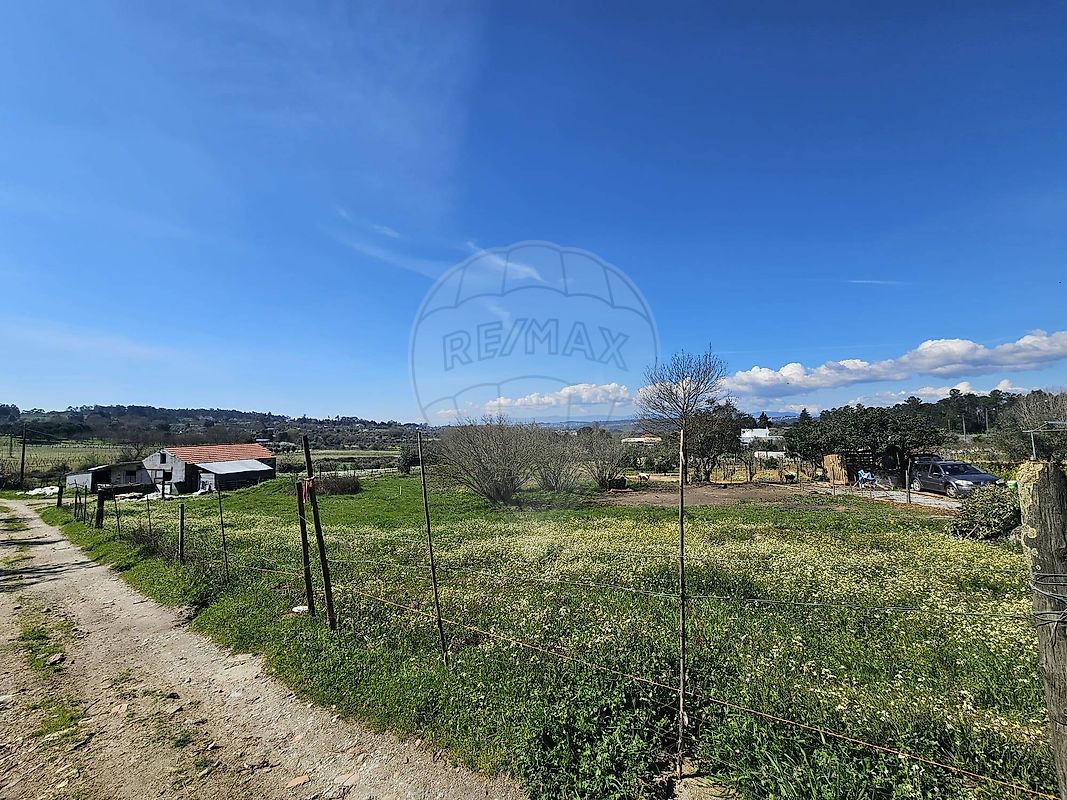 Terreno - Alcafache, Mangualde, Viseu