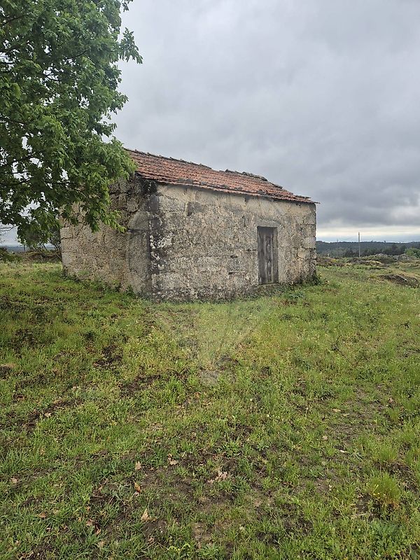 Terreno - Juncais, Vila Ruiva e Vila Soeiro do Chão, Fornos de Algodres, Guarda