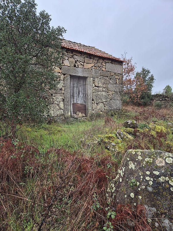 Terreno - Fornos de Algodres, Fornos de Algodres, Guarda