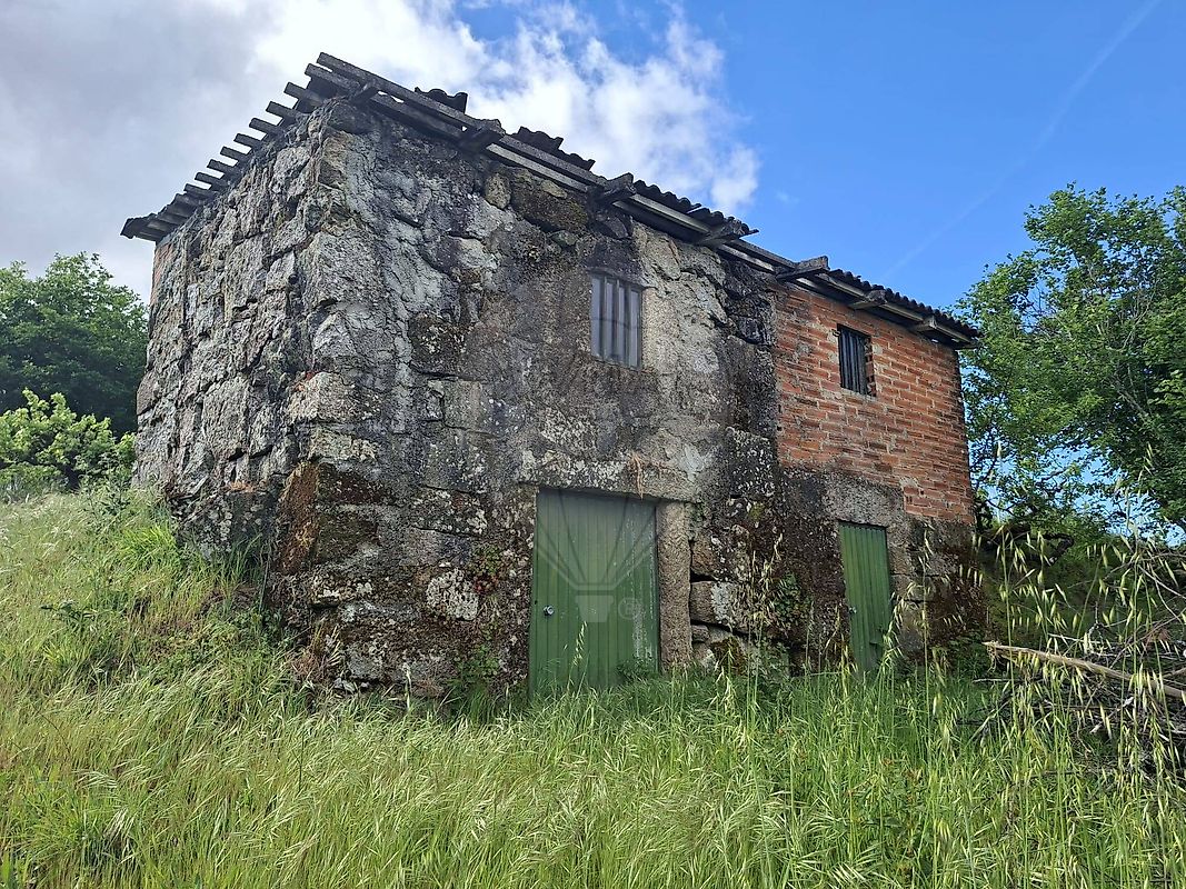Terreno - Silgueiros, Viseu, Viseu