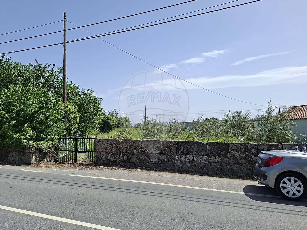 Terreno - Silgueiros, Viseu, Viseu