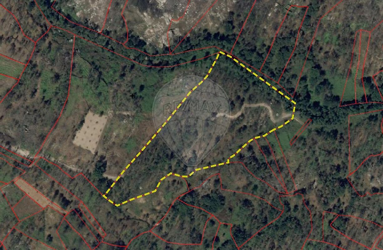 Terreno - Sameice e Santa Eulália, Seia, Guarda