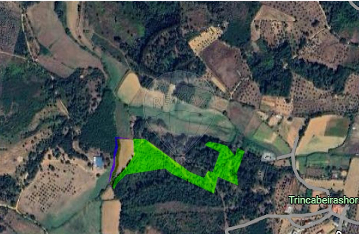 Terreno - Santiago, Seia, Guarda