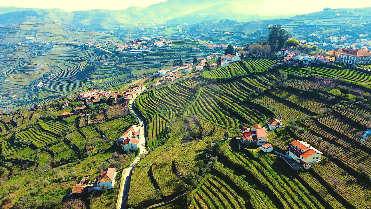 Terreno - Cambres, Lamego, Viseu