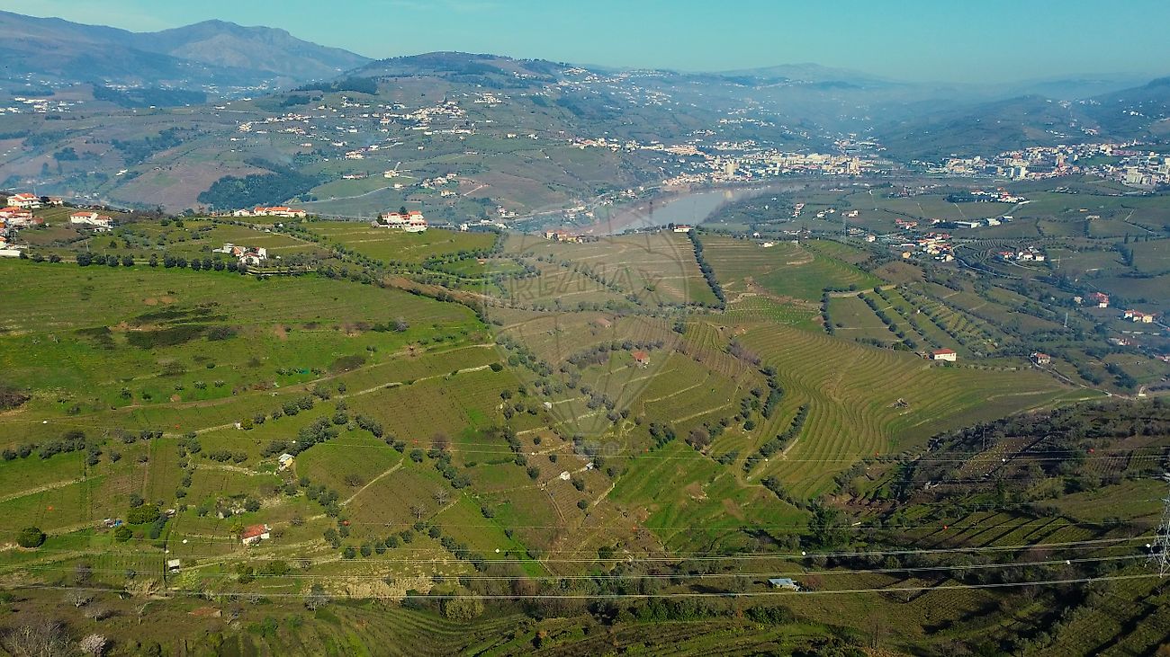 Terreno - Cambres, Lamego, Viseu