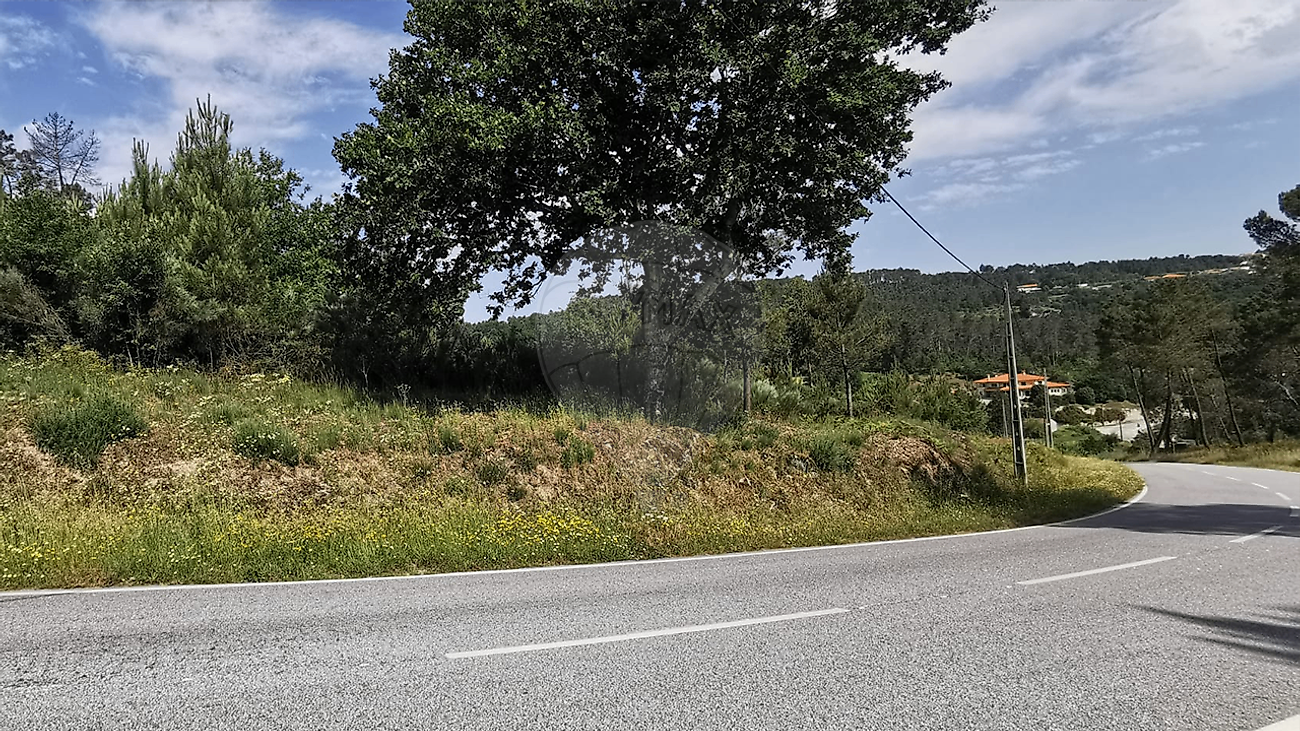 Terreno - Santos Evos, Viseu, Viseu