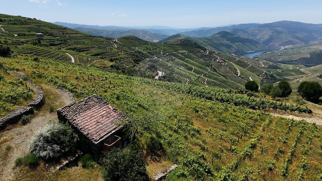 Terreno - Ervedosa do Douro, São João da Pesqueira, Viseu