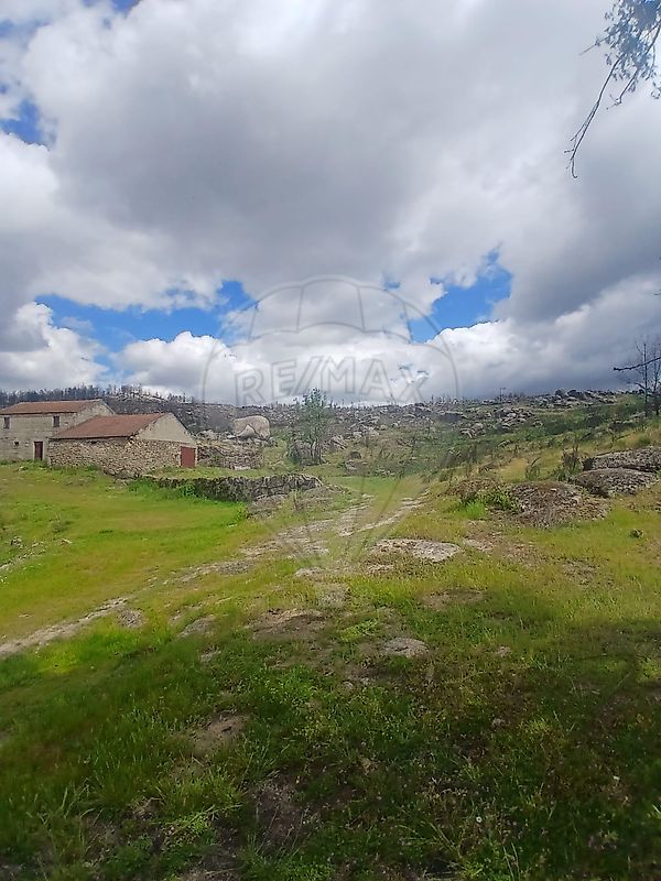 Terreno - Cunha, Sernancelhe, Viseu