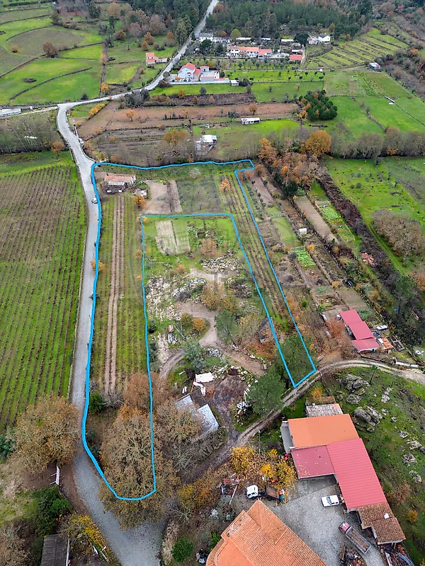 Terreno - Mangualde, Mesquitela e Cunha Alta, Mangualde, Viseu