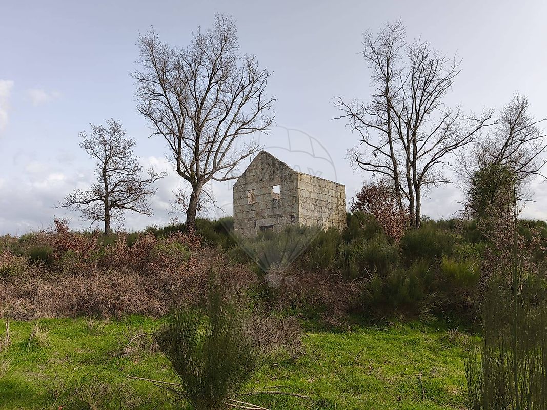 Terreno - Seixo da Beira, Oliveira do Hospital, Coimbra