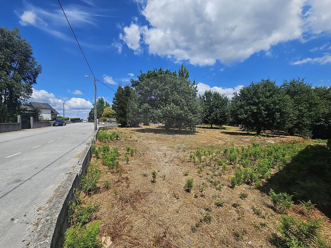 Terreno - Queirã, Vouzela, Viseu