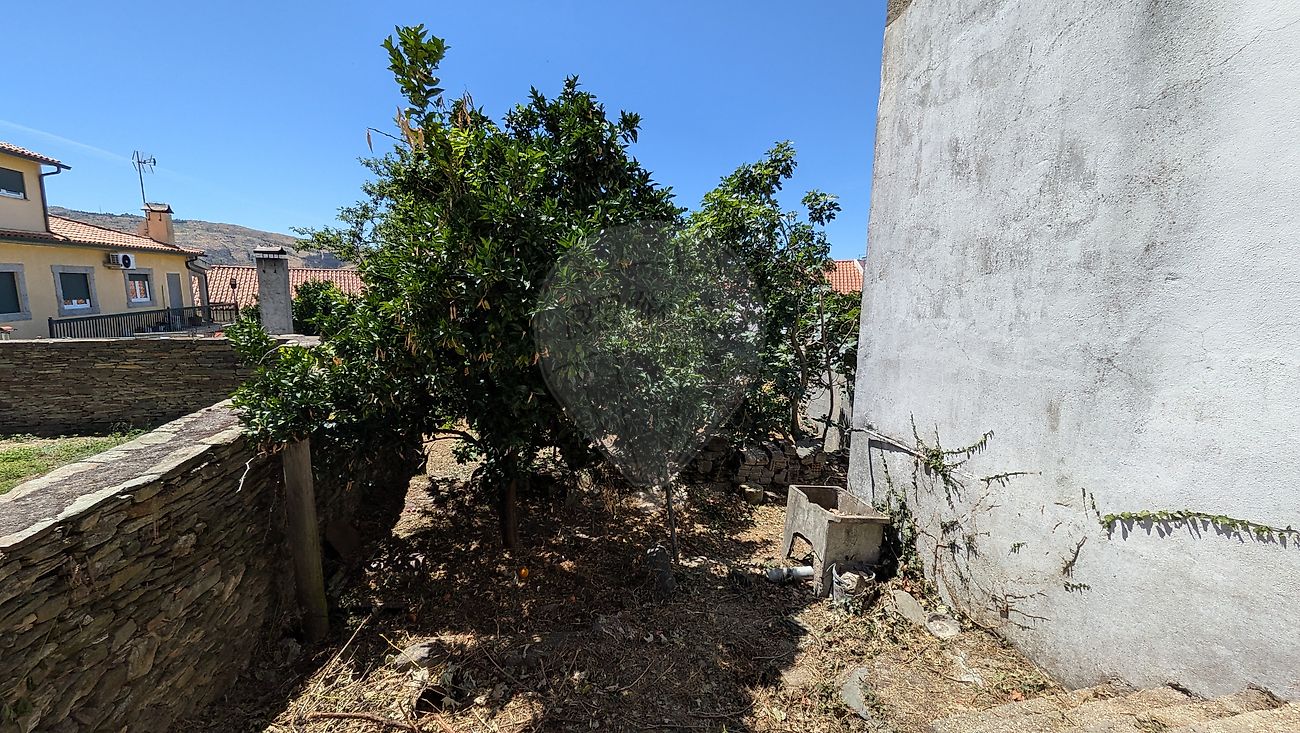 Moradia T3 à venda em Trevões e Espinhosa, São João da Pesqueira — foto 7