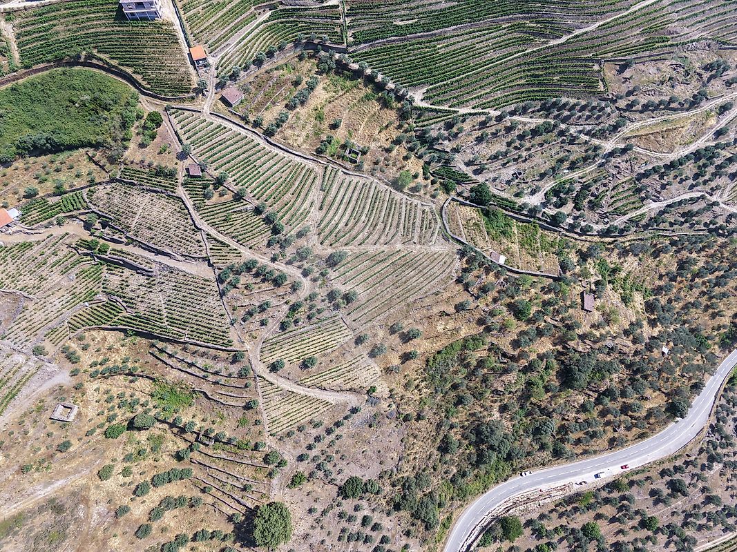 Terreno - Ervedosa do Douro, São João da Pesqueira, Viseu