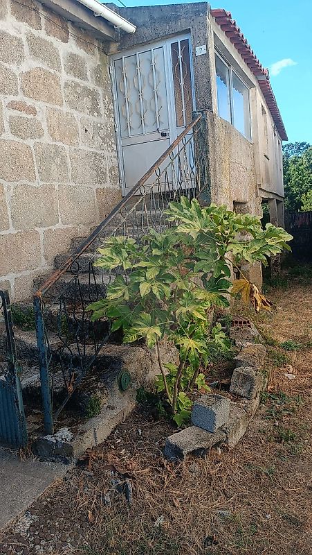 Apartamento à venda em Aguiar da Beira