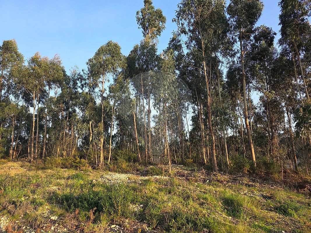 Terreno à venda em Aveiro