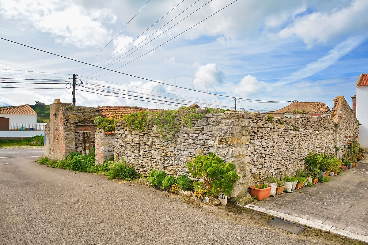 listing-picture-0
