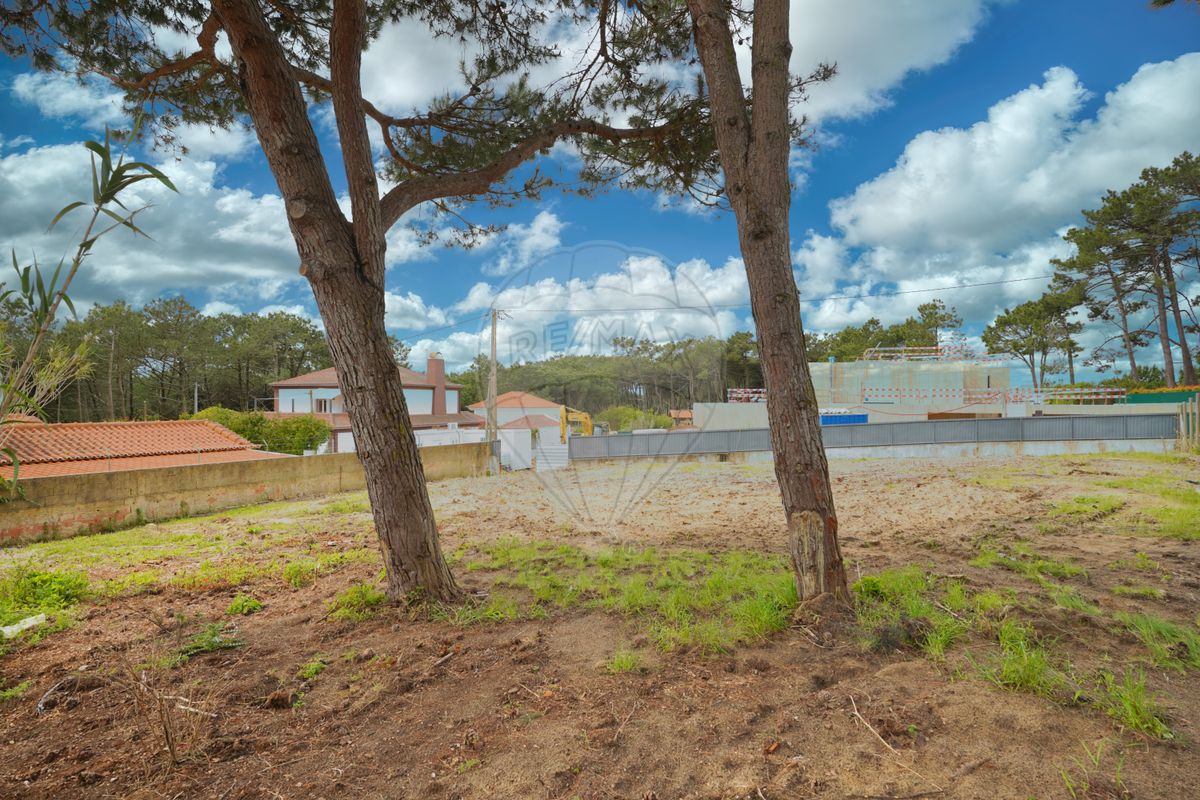 listing-picture-0