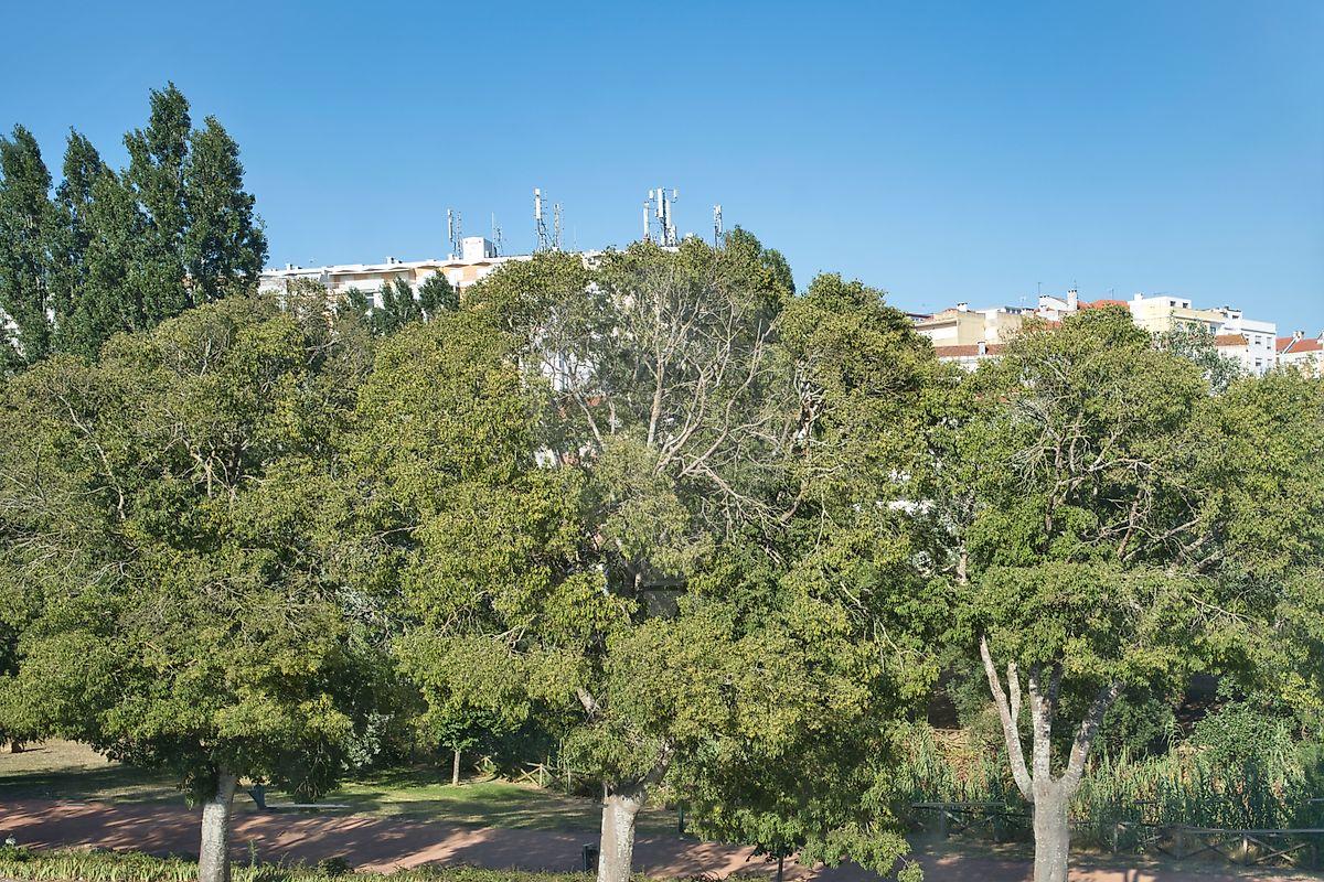 listing 126051030-54 picture-0
