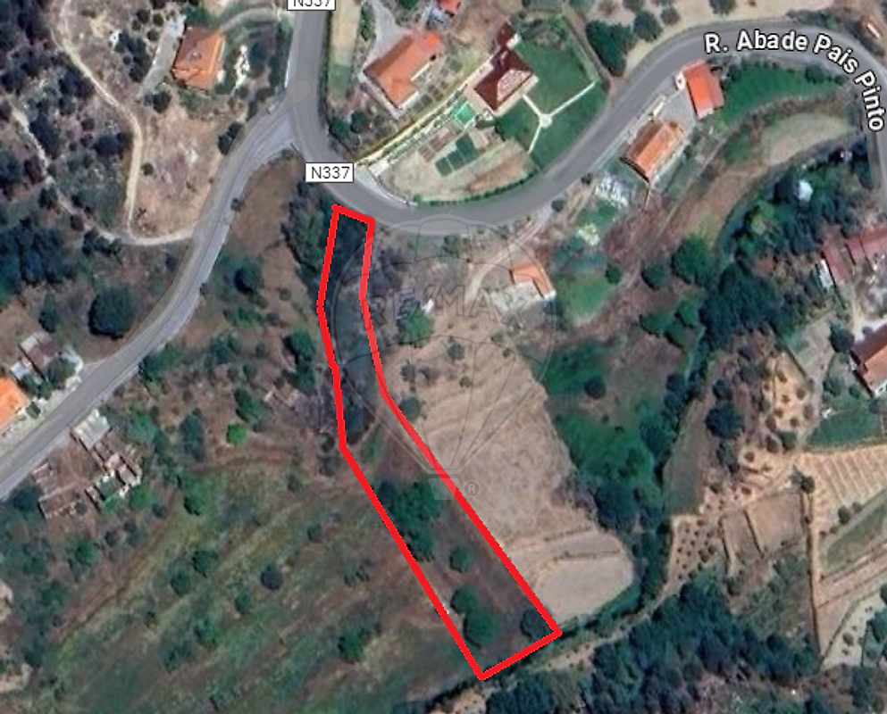 Terreno - Beijós, Carregal do Sal, Viseu