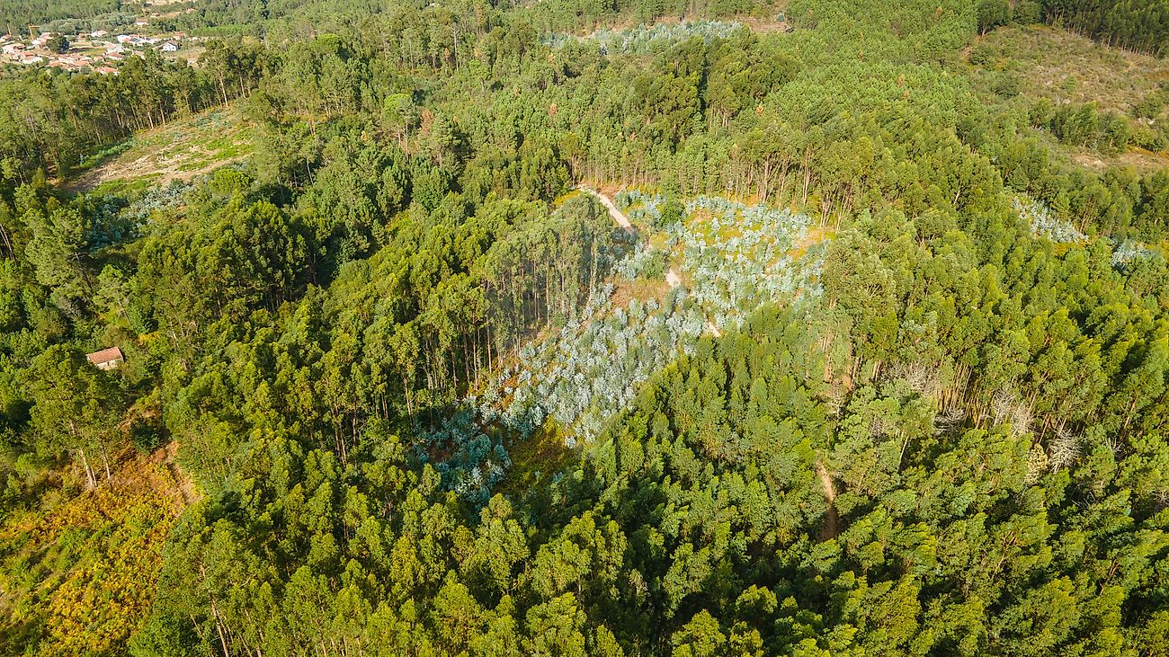 Terreno para venda
