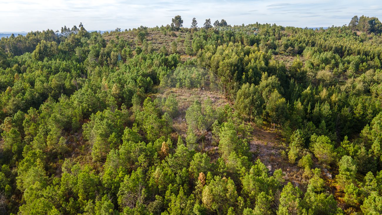 Terreno  para venda